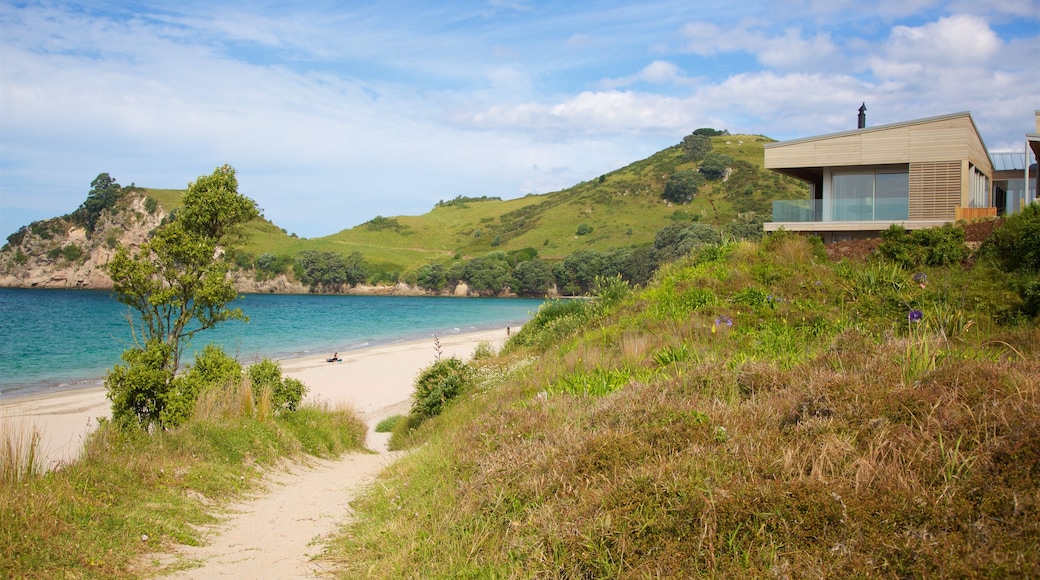 Hahei Beach showing a bay or harbor and a sandy beach