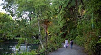 Pukekura Park featuring a lake or waterhole and a park