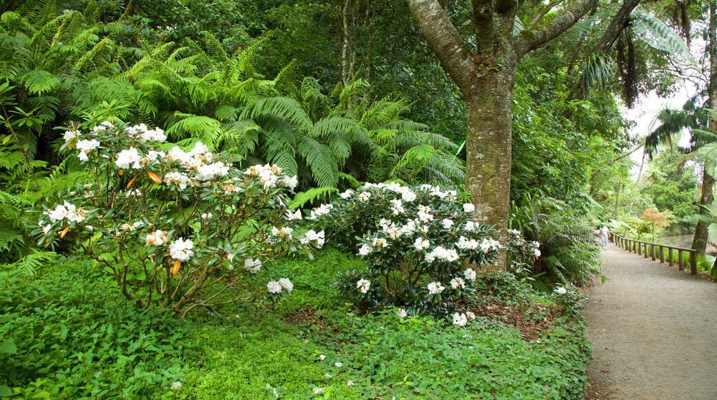 Egmont National Park