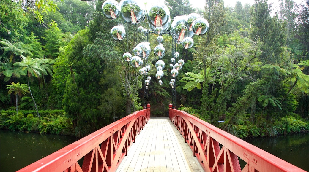 Pukekura Park which includes a bridge, a garden and a lake or waterhole