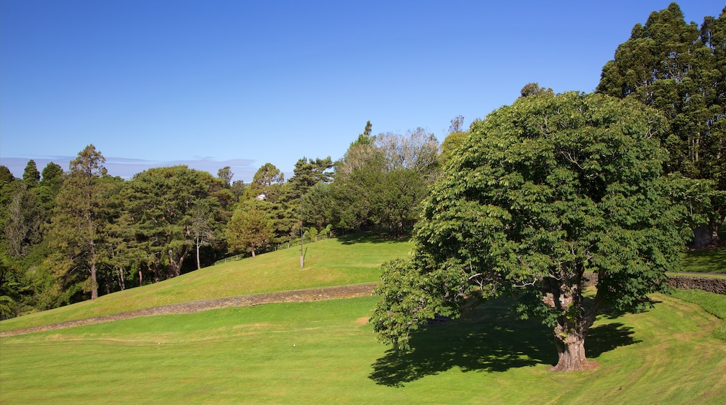 Bowl of Brooklands showing a park