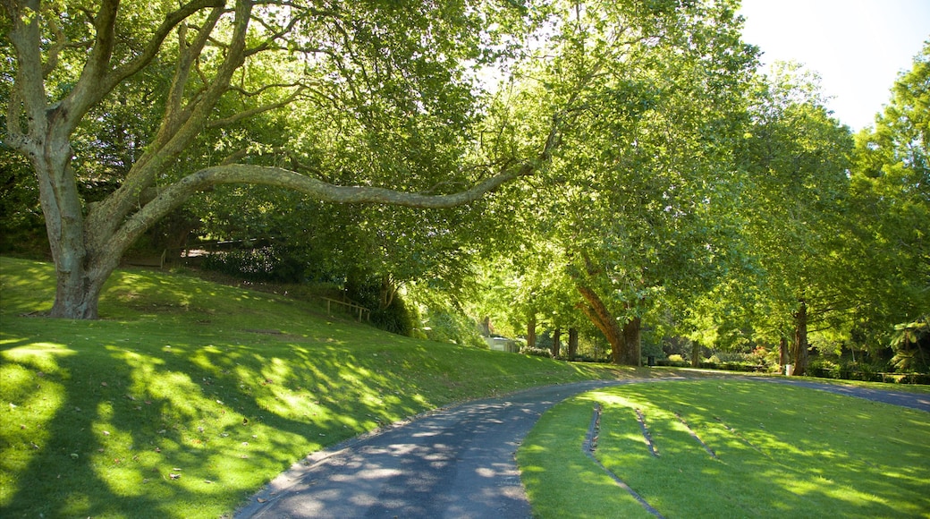 Bowl of Brooklands which includes a park