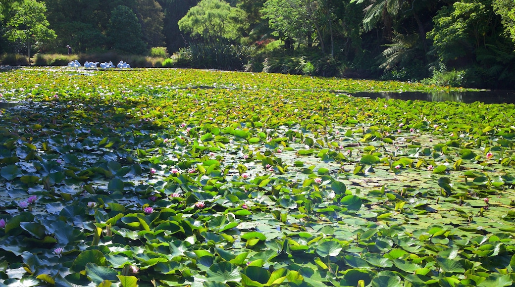 Bowl of Brooklands featuring a lake or waterhole and a garden