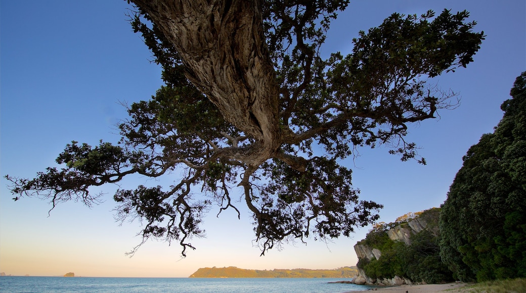 Lonely Bay Beach showing a beach, rocky coastline and a bay or harbor