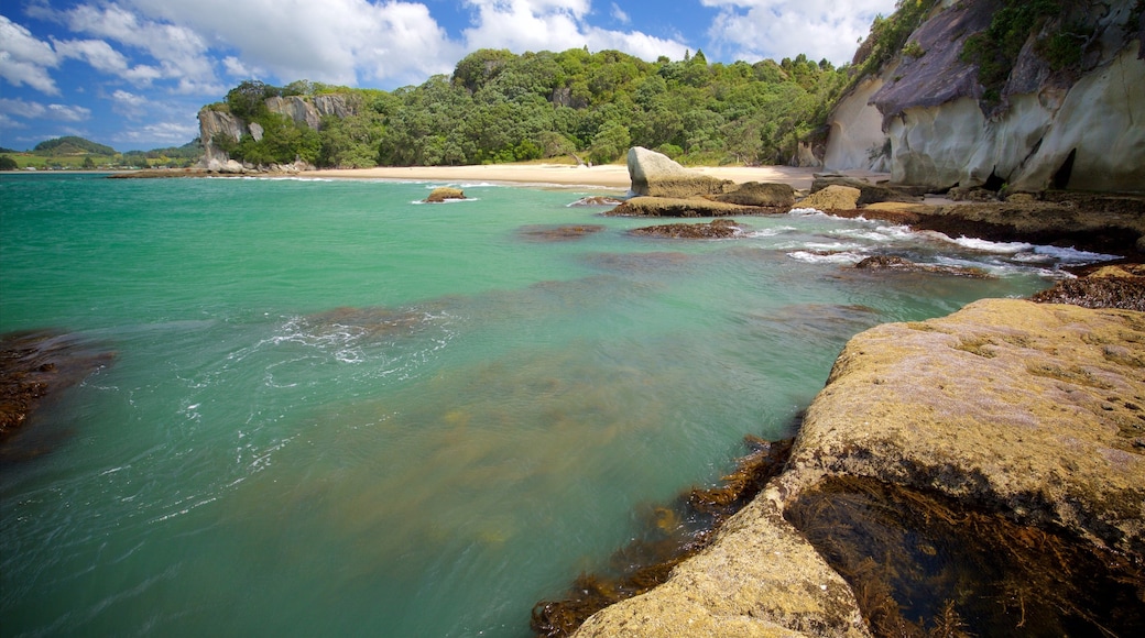 Lonely Bay Beach featuring a bay or harbour, rugged coastline and a sandy beach