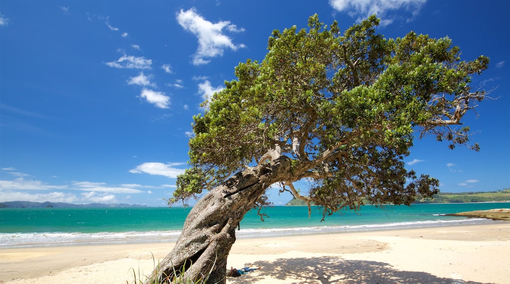 Lonely Bay Beach which includes a bay or harbor and a beach