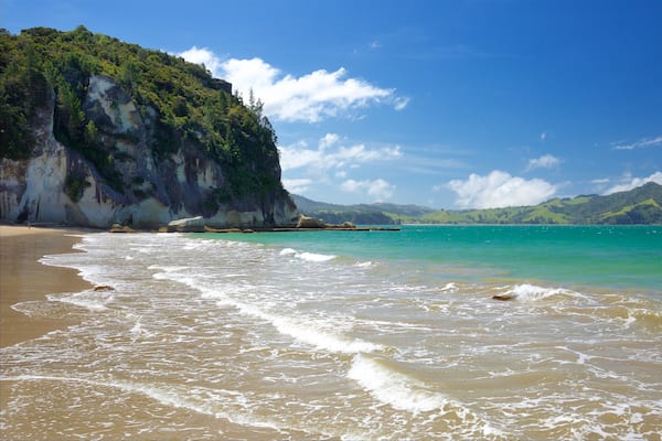 Plage de Lonely Bay qui includes baie ou port, plage et côte escarpée