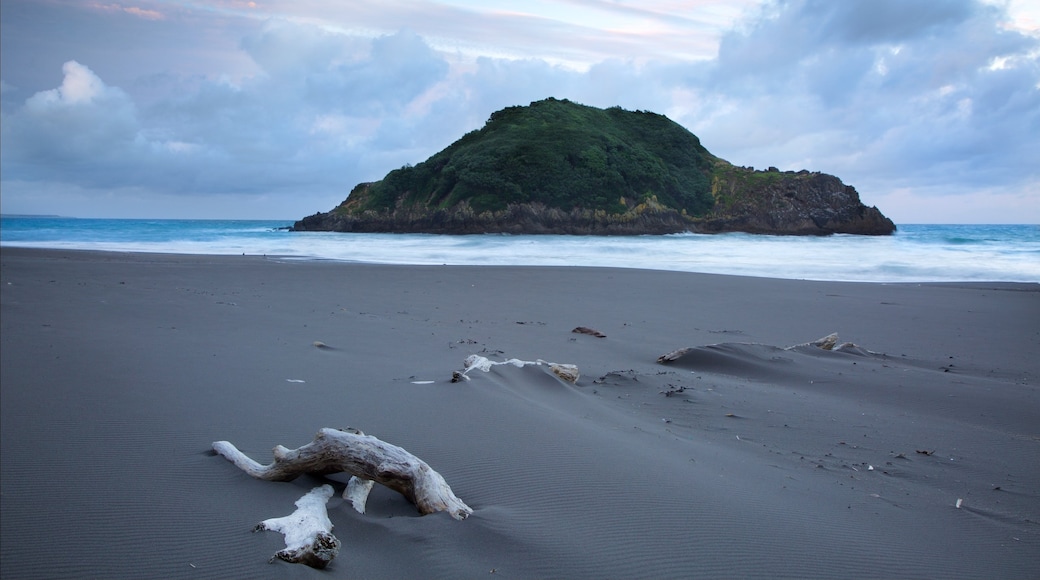 Sugar Loaf Marine Reserve showing island views and a bay or harbour