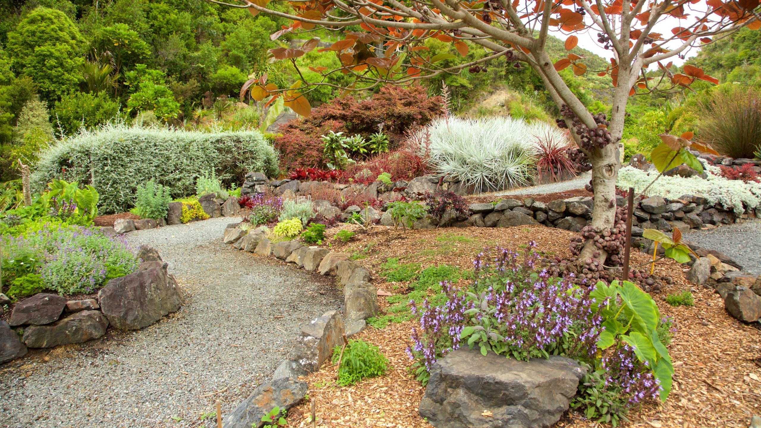 Whangarei Quarry Gardens, NZ holiday homes from NZ 97/night Bookabach