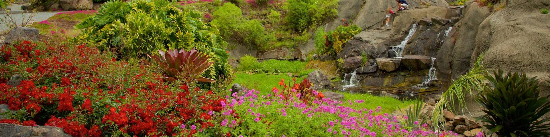 Whangarei Quarry Gardens which includes a garden
