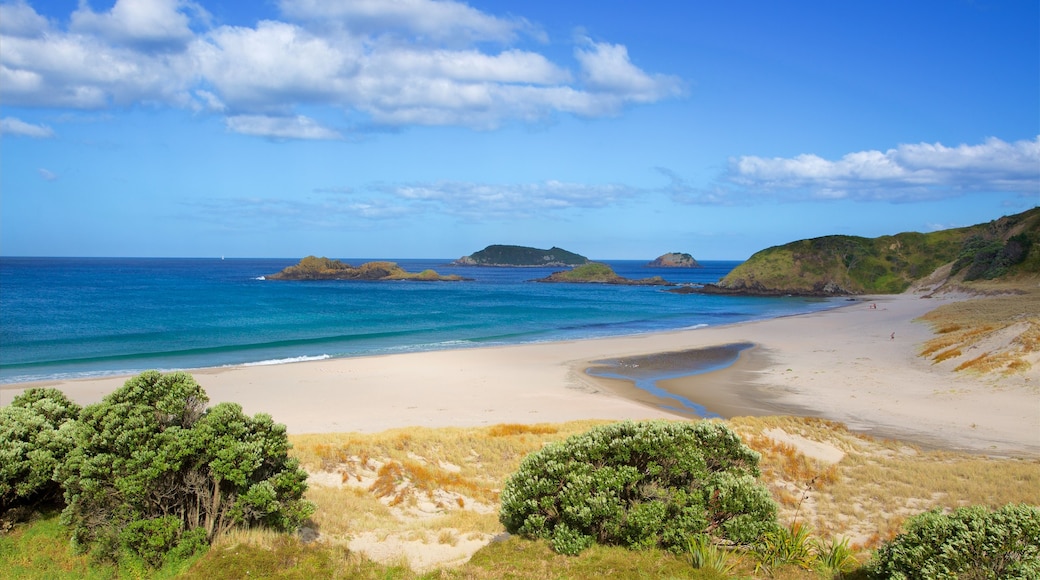 Ocean Beach featuring island images, a sandy beach and a bay or harbour