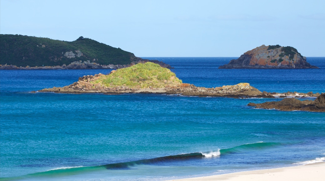 Ocean Beach showing a bay or harbour, a beach and island views