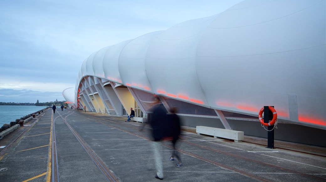 North Island som inkluderar en hamn eller havsbukt och modern arkitektur