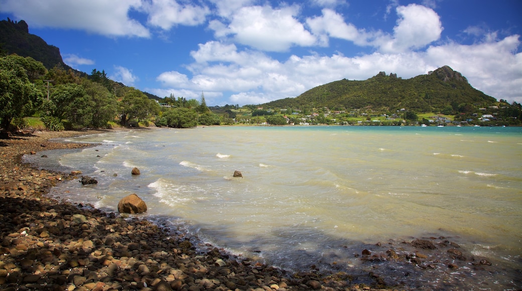 Whangarei showing a bay or harbour and a pebble beach