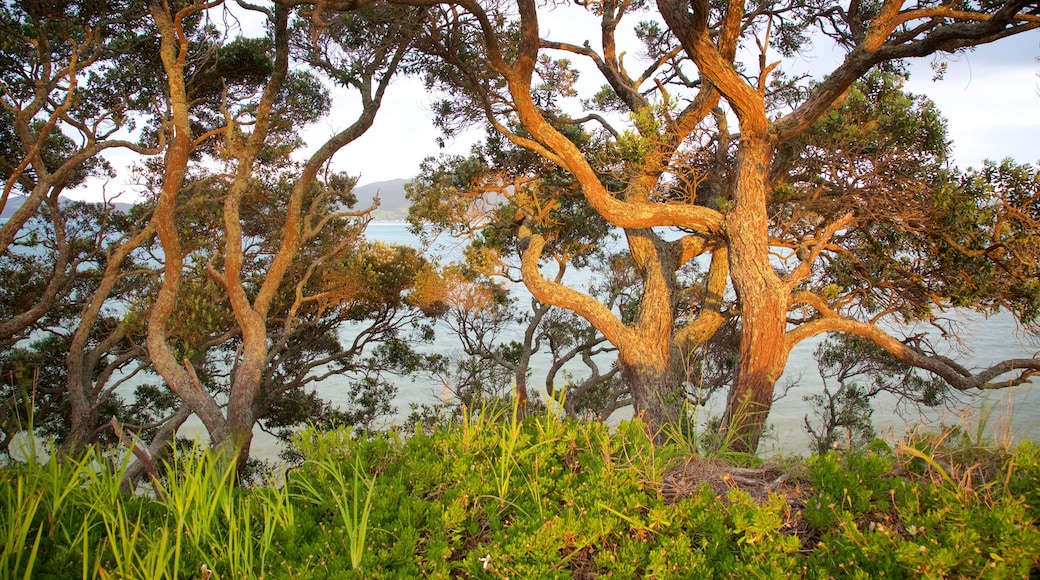 Whangarei Heads which includes a lake or waterhole