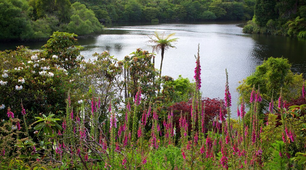 Lake Mangamahoe