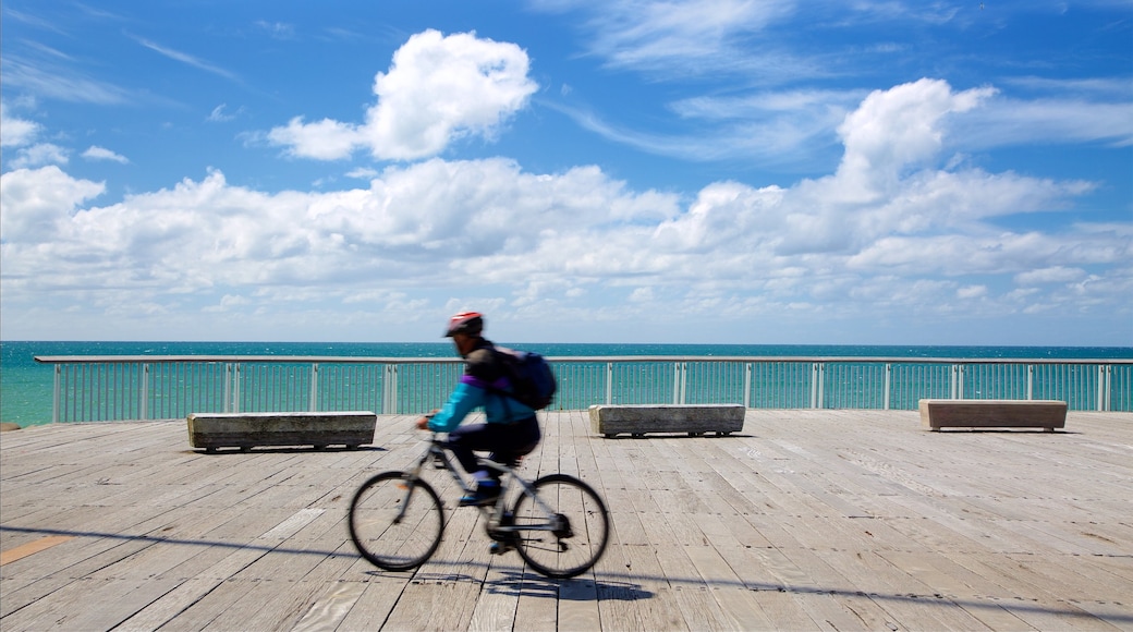 New Plymouth presenterar cykling och en hamn eller havsbukt