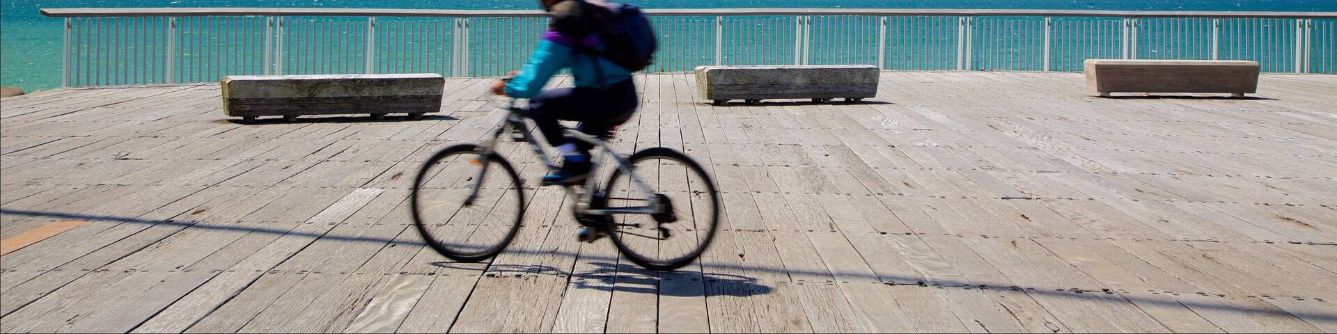 New Plymouth showing cycling and a bay or harbour
