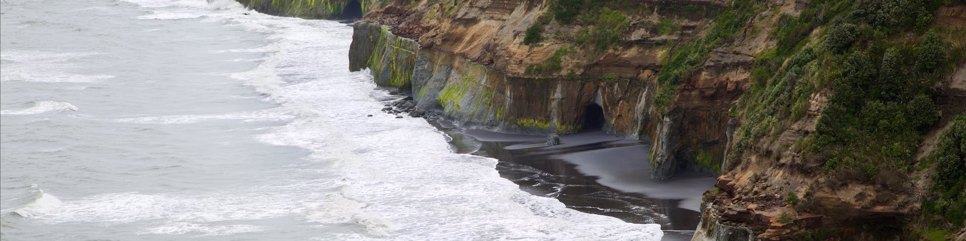 New Plymouth which includes rugged coastline, a bay or harbor and waves