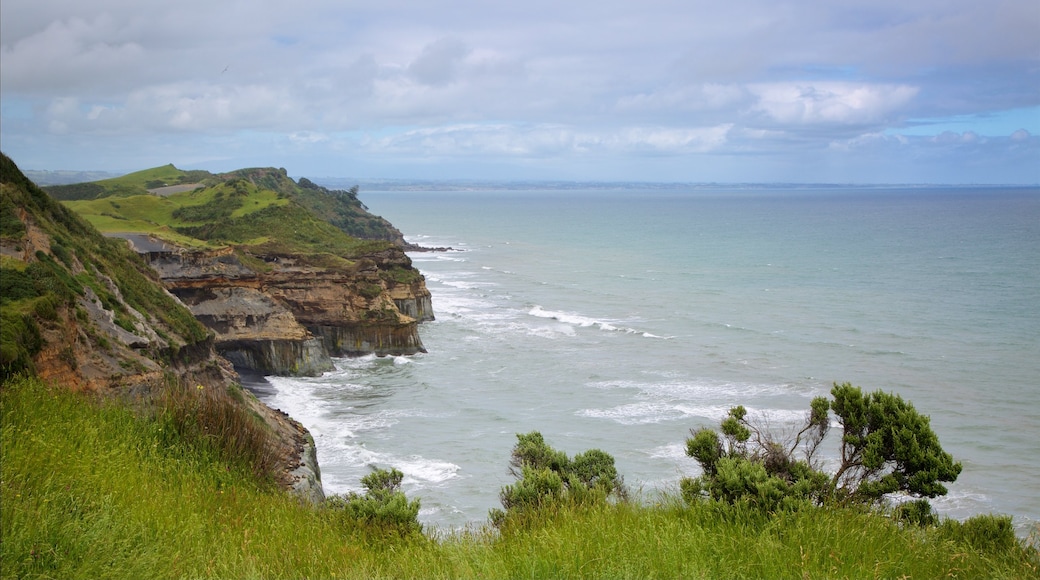 New Plymouth showing rugged coastline, a bay or harbour and waves