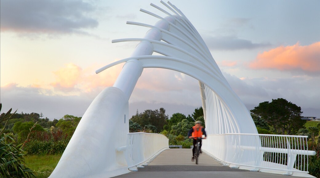 New Plymouth which includes a sunset, cycling and a bridge