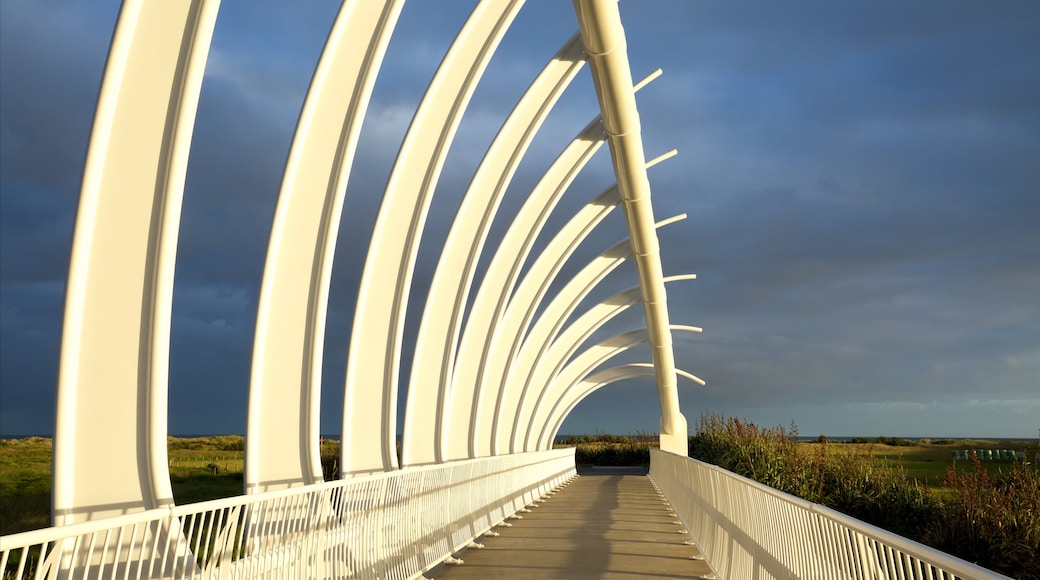 New Plymouth bevat een zonsondergang en een brug