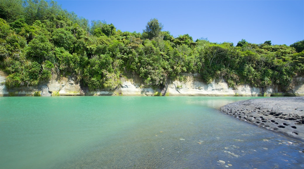 New Plymouth showing general coastal views and a bay or harbour