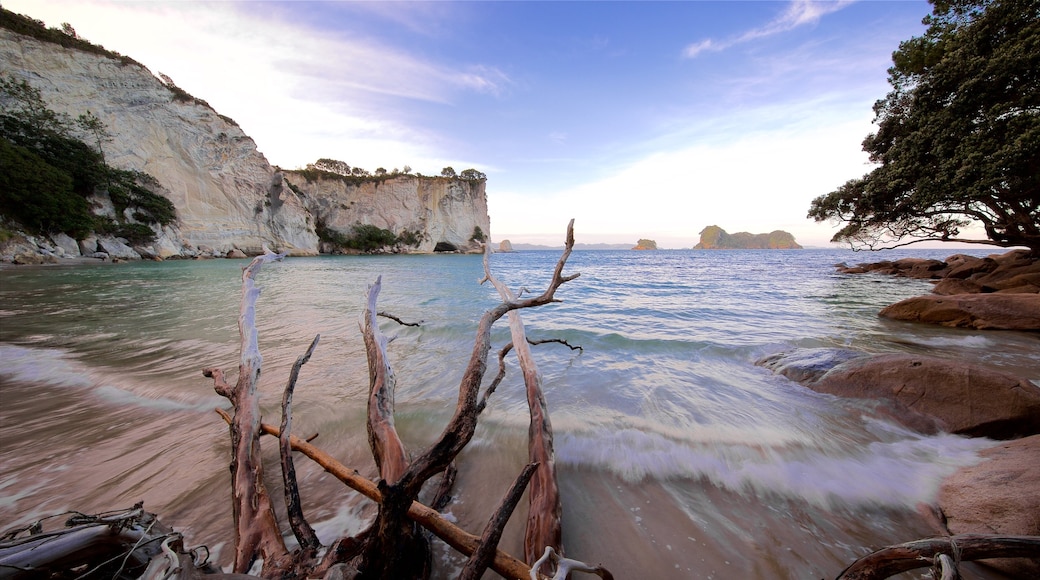 Whitianga welches beinhaltet schroffe Küste, Bucht oder Hafen und Sonnenuntergang