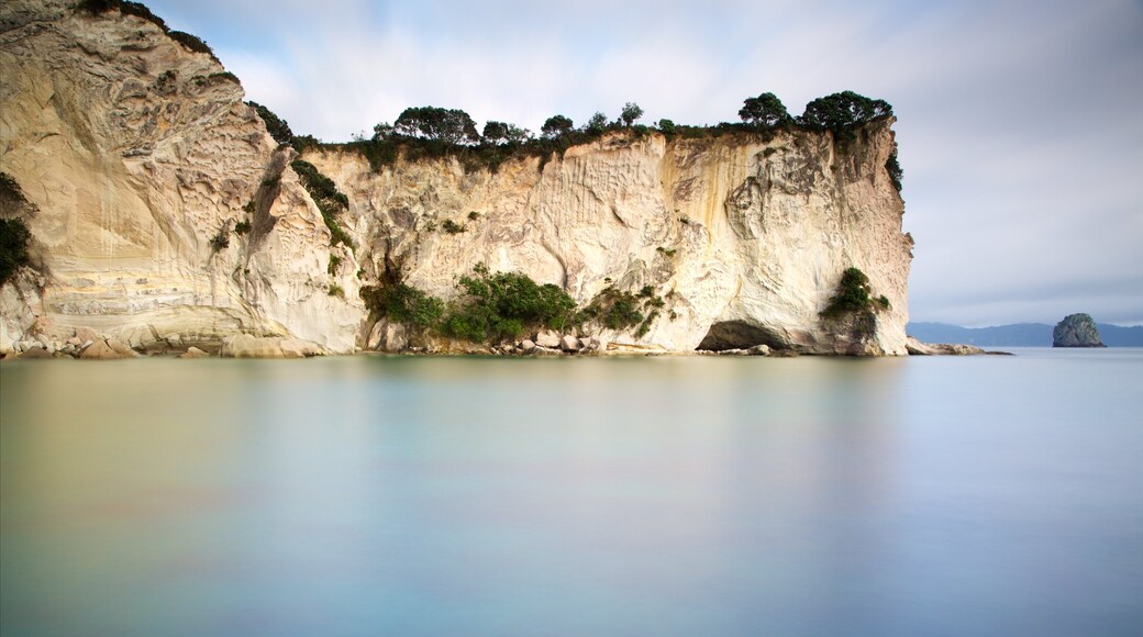 Whitianga showing rugged coastline and a bay or harbor