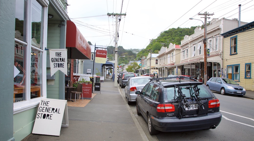 Wellington showing street scenes and heritage architecture