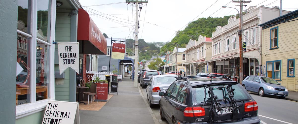 Wellington showing heritage architecture and street scenes