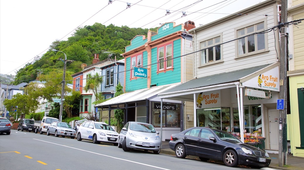 Wellington showing heritage architecture and street scenes