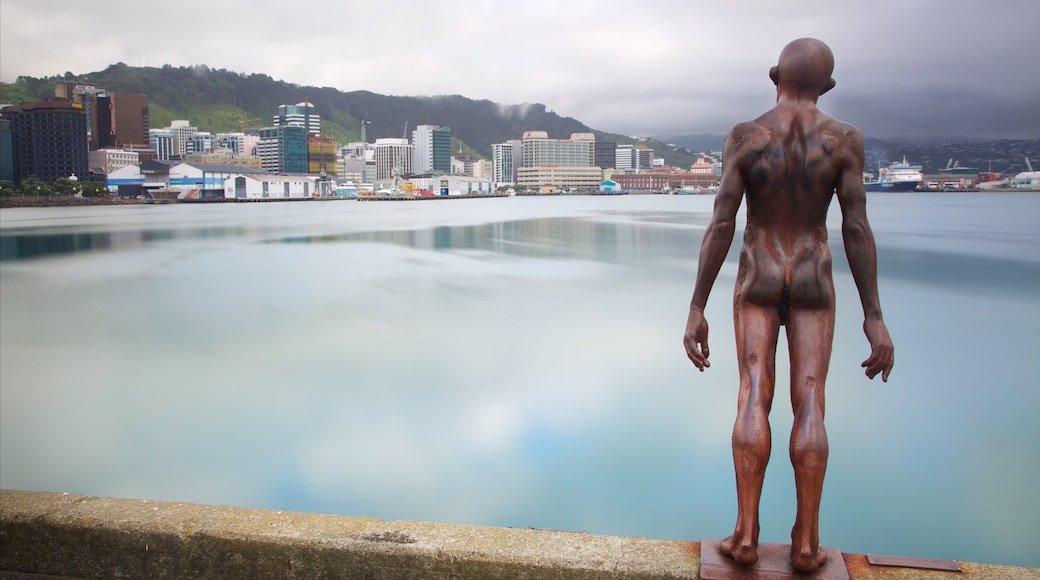 Wellington showing a city, a bay or harbour and outdoor art