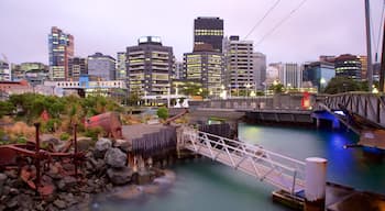 Wellington showing a sunset, a bridge and a bay or harbor