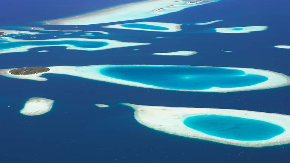 モルディブ フィーチャー 島の画像