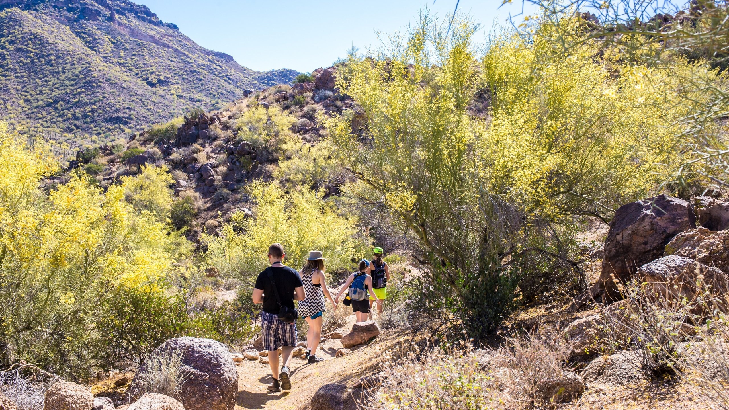 Top 10 Kid Friendly Hotels In Mesa AZ 40 Family Fun Friendly Hotels