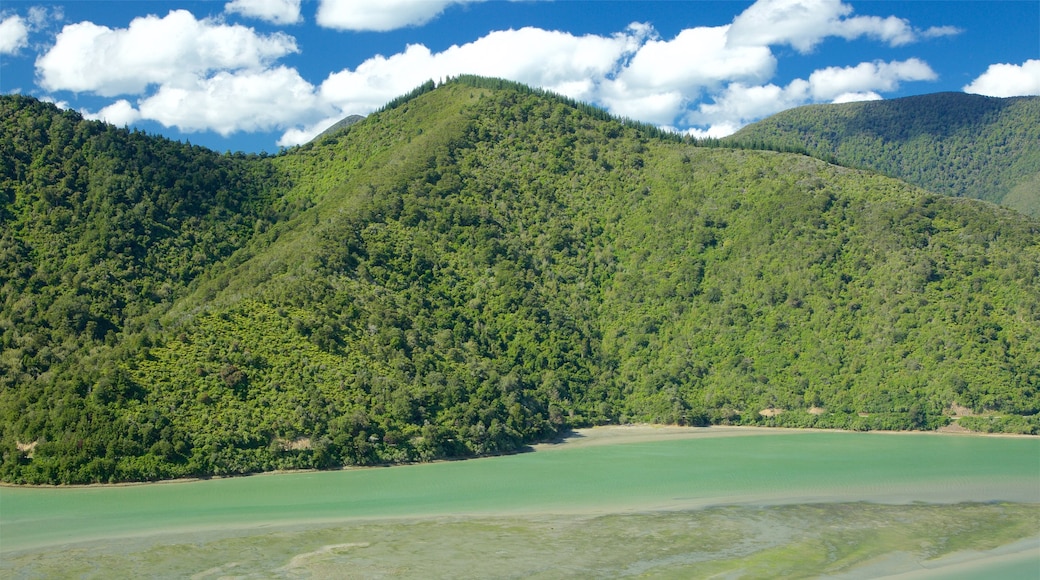 Picton que incluye una bahía o un puerto, montañas y bosques