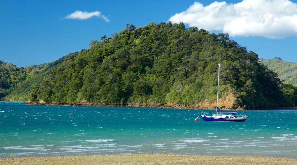 Picton ofreciendo una bahía o un puerto, costa escarpada y una playa de piedras