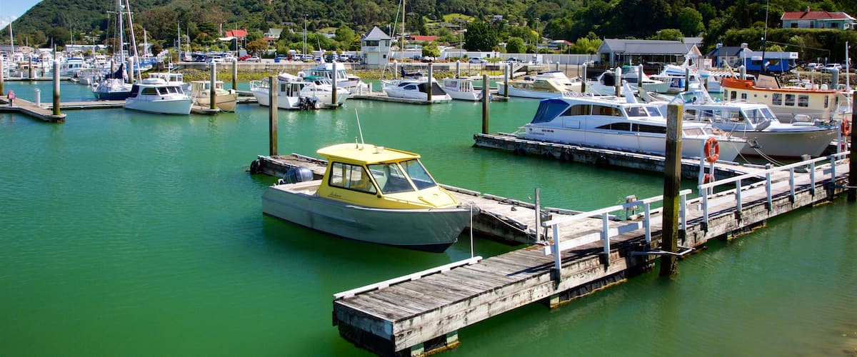 Marlborough showing a marina, forest scenes and mountains