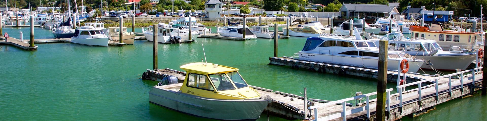 Marlborough showing a marina, forest scenes and mountains