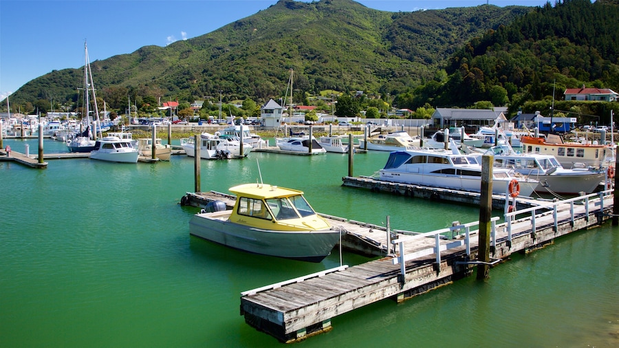 Marlborough mostrando montañas, escenas forestales y una marina