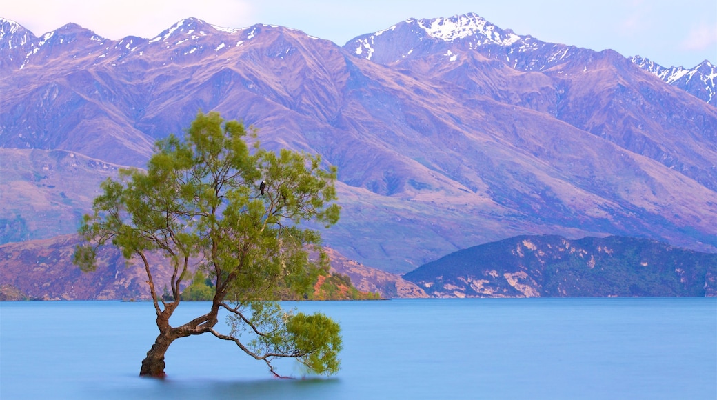 Lake Wanaka che include tramonto, montagna e lago o sorgente d\'acqua