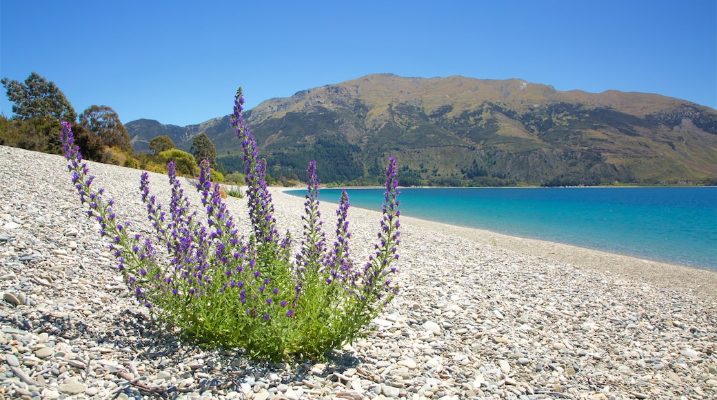 Waitaki District showing a pebble beach, general coastal views and wildflowers