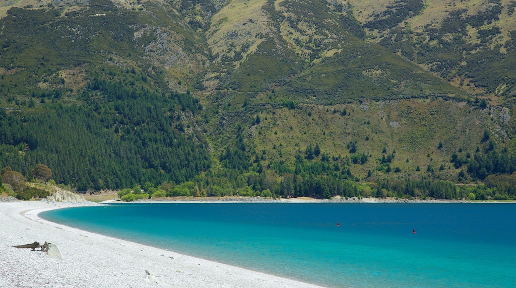 Waitaki District which includes general coastal views and a sandy beach