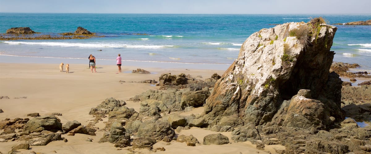 Kaka Point ofreciendo una playa, costa rocosa y una bahía o puerto