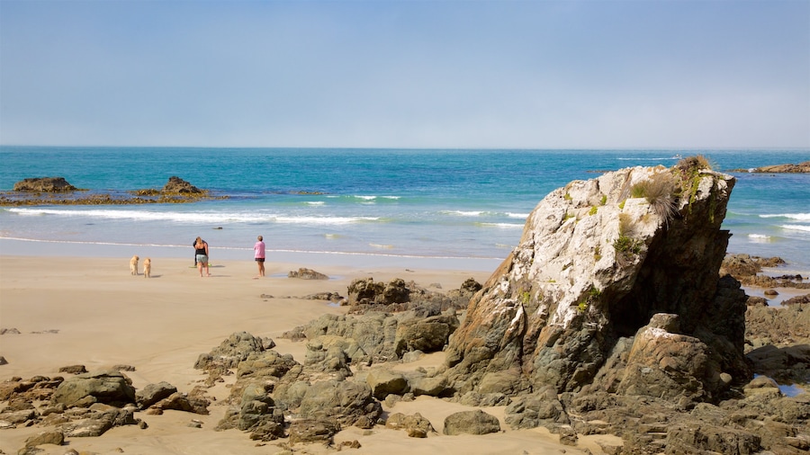 Kaka Point che include baia e porto, spiaggia e costa rocciosa