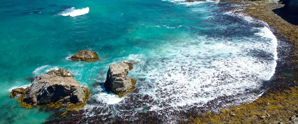 Kaka Point bevat een baai of haven en rotsachtige kustlijn