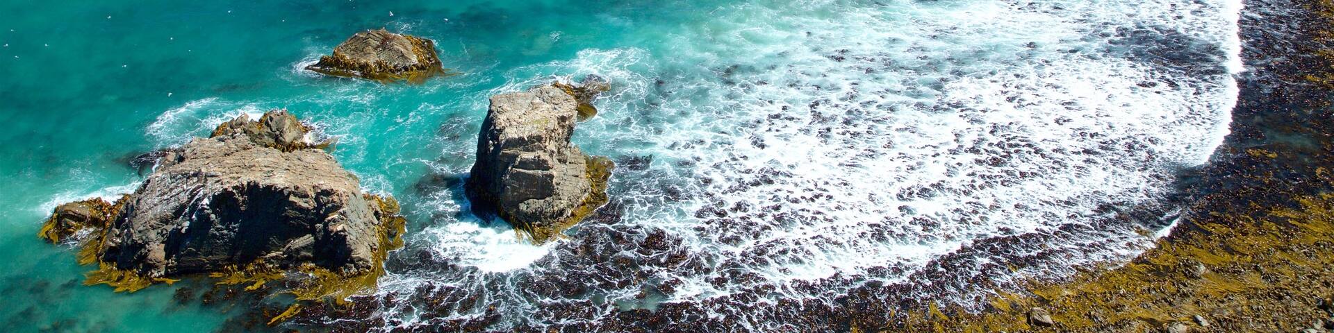 Kaka Point which includes rocky coastline and a bay or harbour
