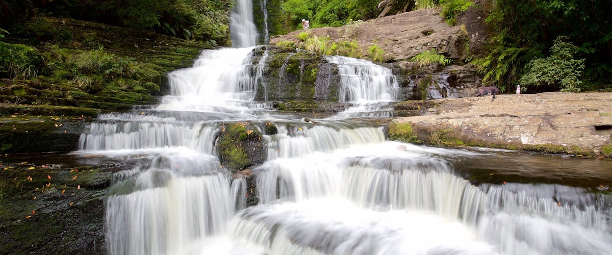 McLean Falls which includes a cascade, a river or creek and forests
