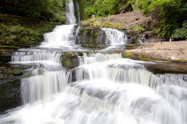 McLean Falls which includes forest scenes, a river or creek and a waterfall